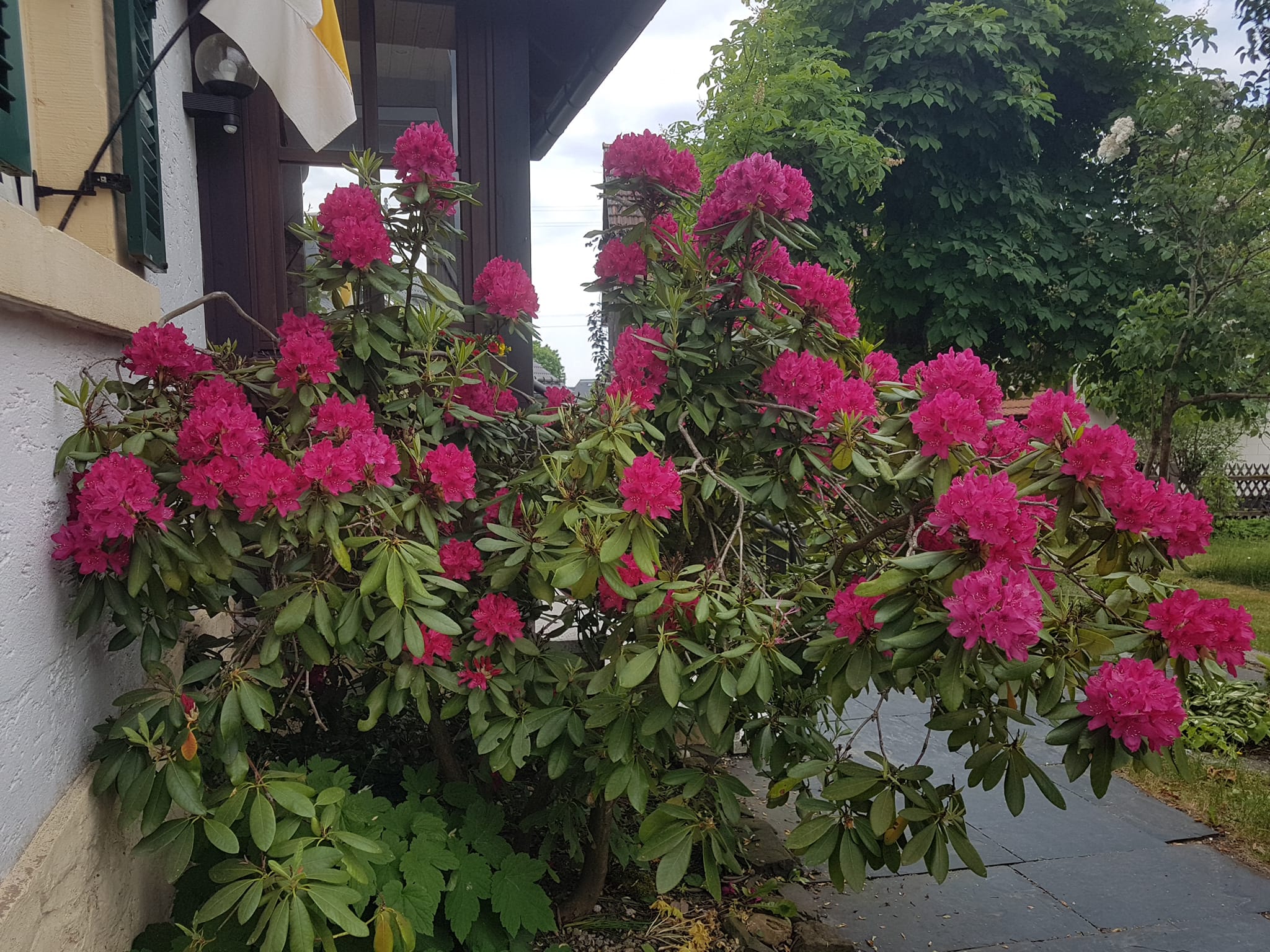 Nurn_Fronleichnam 2023