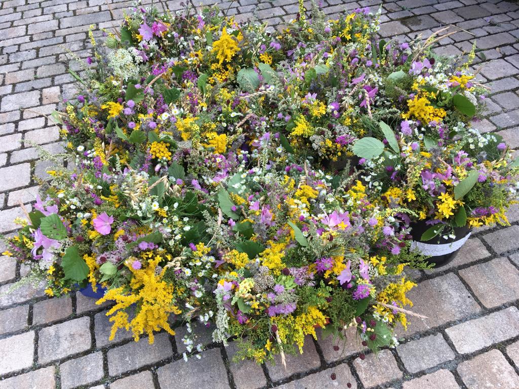 fertige Kräuterbüschel